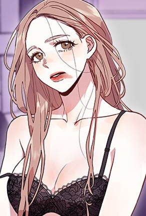 钢之炼金术师 封面